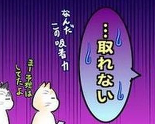 月経カップ試用編